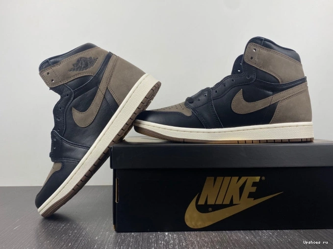 High  Retro 1   Palomino DZ5485-020 OG Jordan 0213